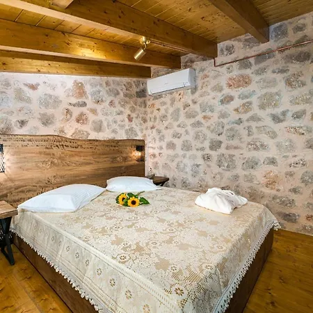 Zacharenia * Nikiana